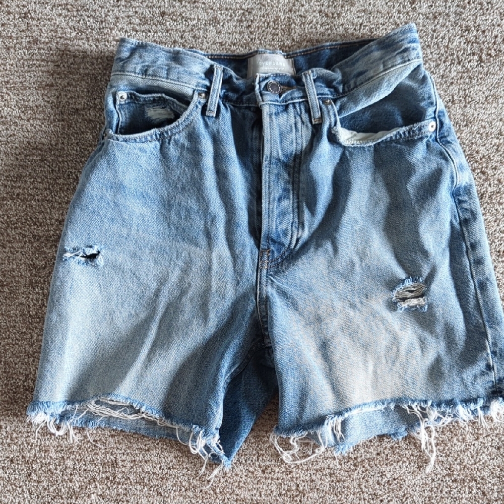 Everlane Rigid Way High Short
